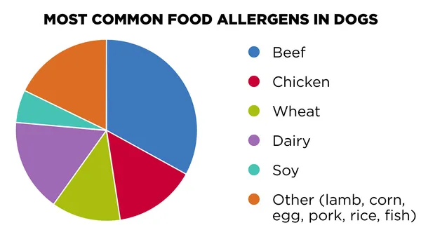  Common Ethiopian Food Allergens